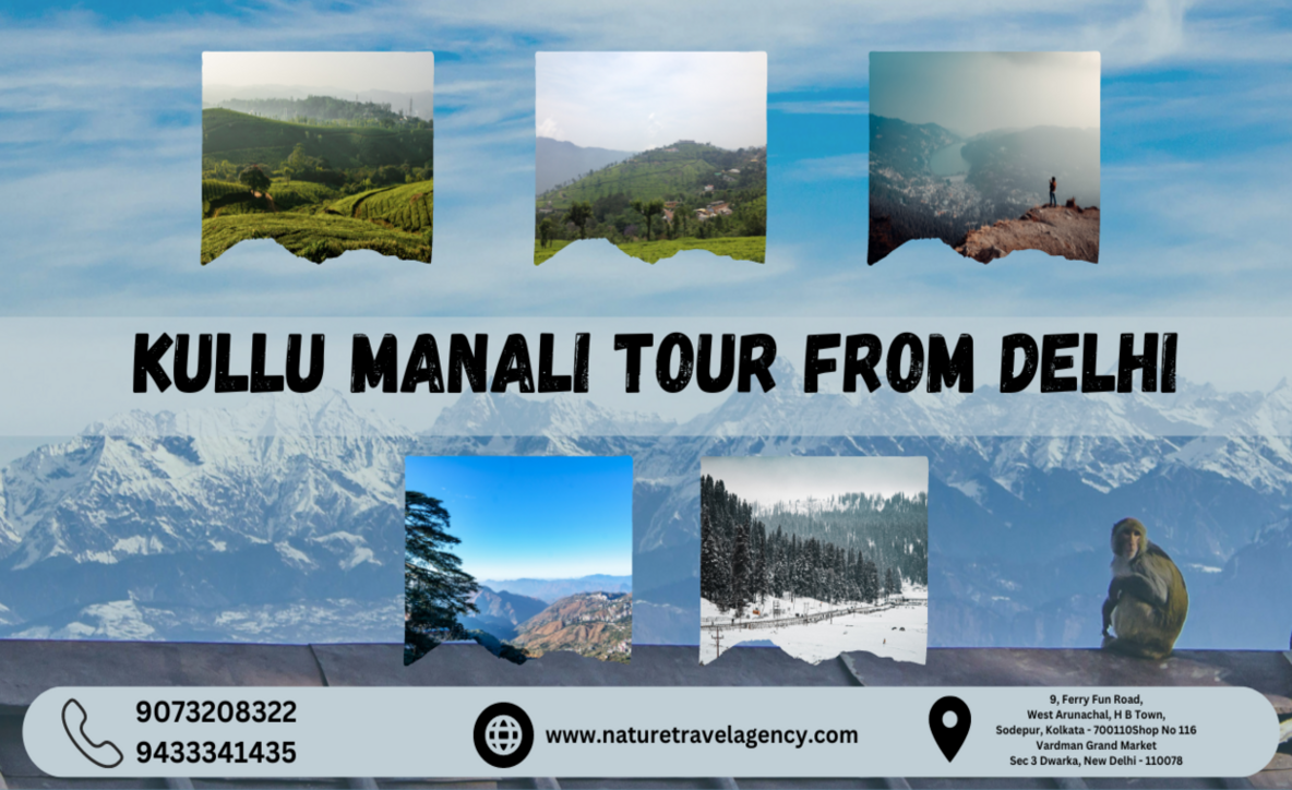 Kullu Manali tour packages from Delhi,Manali tour packages from Delhi, delhi to manali 